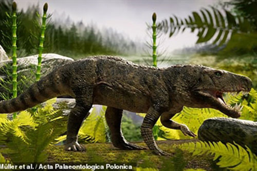 Phát hiện thú ăn thịt đáng sợ có vẻ ngoài giống cá sấu ở Brazil