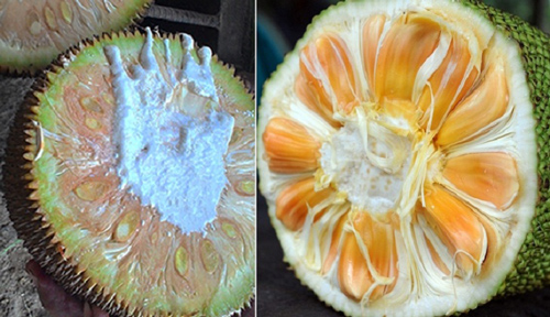 Đi siêu thị cứ nhìn vào điểm này là biết ngay trái cây chín tự nhiên hay "bọc" đầy hoá chất