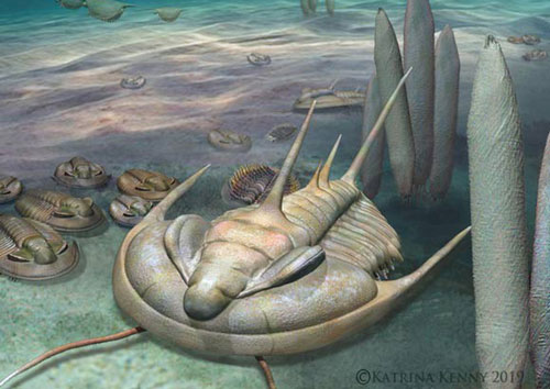 Quái vật "bạo chúa" 500 triệu năm xuất hiện nguyên vẹn tại Úc