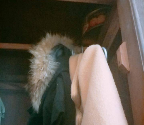 Dọn tủ quần áo, cô vợ bất ngờ phát hiện bí mật 'động trời' mà chồng đã giấu giếm bao năm qua