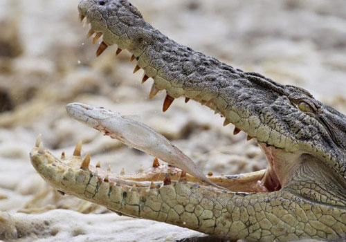 Bạn phải hết sức cẩn thận khi du lịch ở địa điểm dưới đây