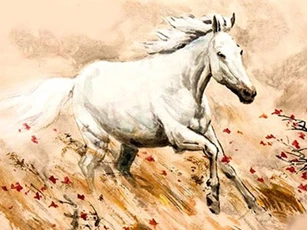 Những con giáp dễ gặp đại hạn, xui xẻo triền miên trong năm 2020 và cách hóa giải