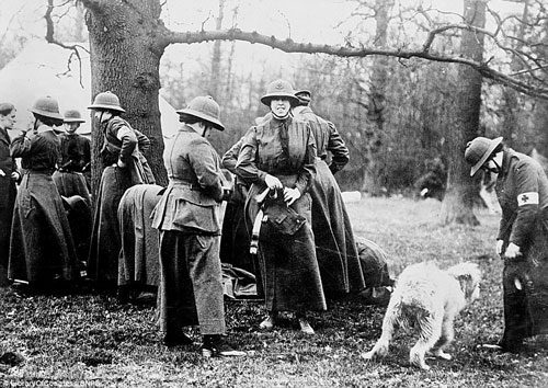 Gặp gỡ những người phụ nữ tiền tuyến của nước Anh trong Thế chiến I