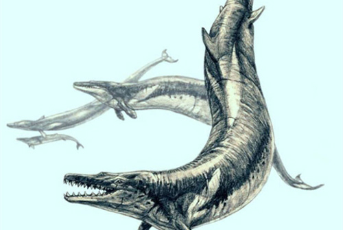 Phát hiện loài cá voi 'dị' trên sa mạc ở Ai Cập