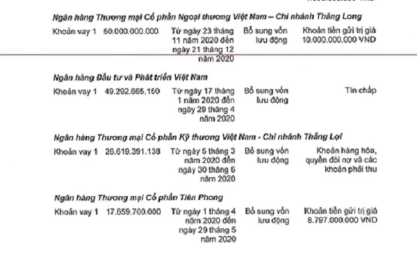 Nguồn BCTC hợp nhất đã kiểm toán tại Đất Xanh Group.