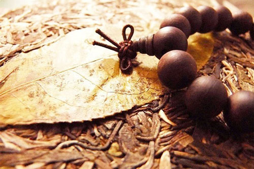 Lời không thể tùy miệng, việc không thể tùy tâm, giữ miệng và phòng tâm là 2 việc quan trọng nhất đời người