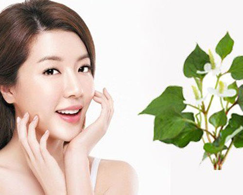 3 loại lá cây quen thuộc giúp bạn “đánh bay” nốt mụn cực hiệu quả