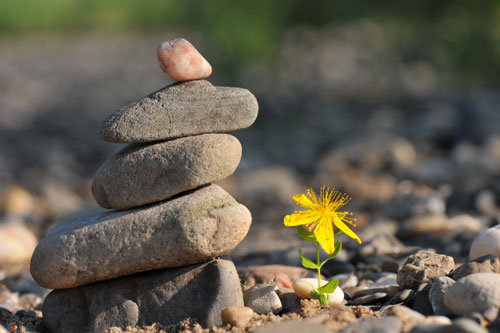 6 bí kíp giúp bạn sống hạnh phúc hơn mỗi ngày - tưởng rất xa nhưng lại rất gần