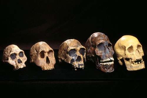 Phát hiện gen 'bí ẩn' trong ADN người Tây Phi