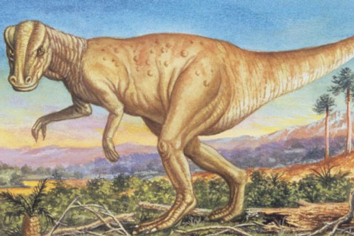 Hóa thạch khủng long 66 triệu năm tuổi chứa căn bệnh hiếm gặp trên trẻ em thời hiện đại