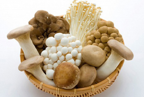 Những loại nấm tốt như 'thần dược', vừa chống ung thư vừa chữa bệnh