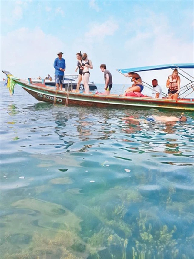 Lợn rừng “minh tinh”: Điểm nhấn trên bãi biển Koh Samui - 3