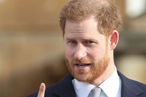 Đạp lên dư luận, vợ chồng Meghan tiếp tục triển khai kế hoạch cá kiếm hàng chục nghìn tỷ đồng