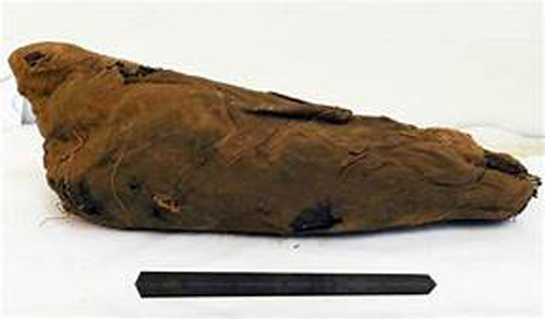 Bí ẩn hàng triệu xác ướp chim trong hầm mộ Ai Cập