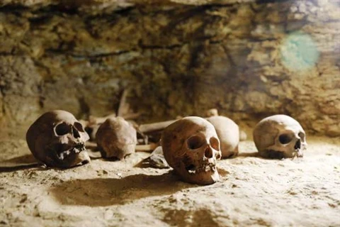 Hiện có rất nhiều xác ướp cổ đang được khai quật
