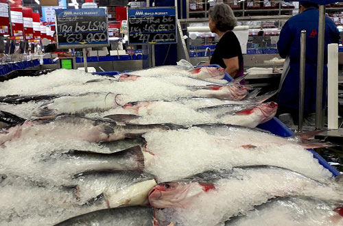 Ngành hàng cá tra chờ cơ hội phục hồi