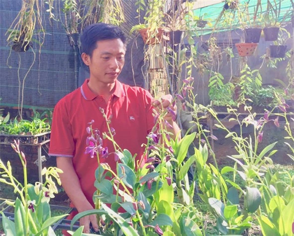Gia đình anh Phan Đình Sỹ có thu nhập ổn định nhờ trồng hoa lan.