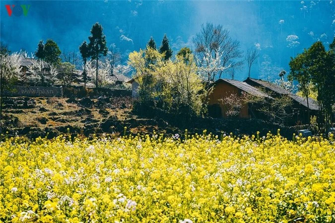 ve dep hung vi va nen tho cua cao nguyen da ha giang hinh 11