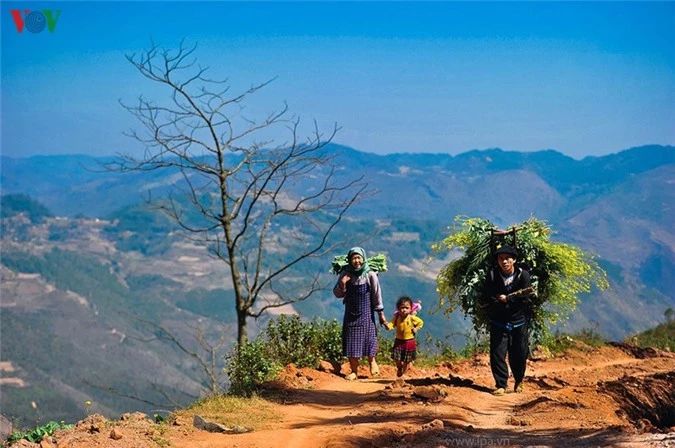 ve dep hung vi va nen tho cua cao nguyen da ha giang hinh 15