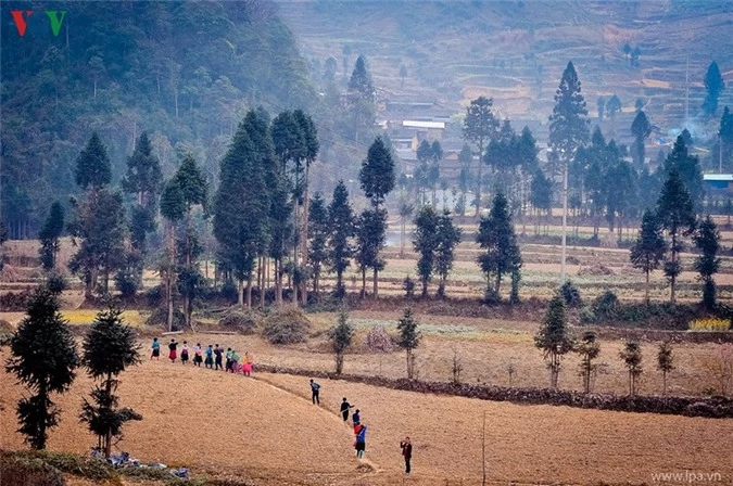 ve dep hung vi va nen tho cua cao nguyen da ha giang hinh 16