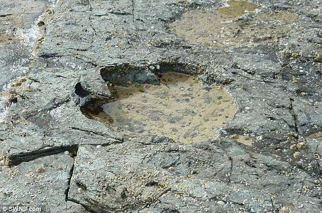 Mẫu hóa thạch trên đảo Skye