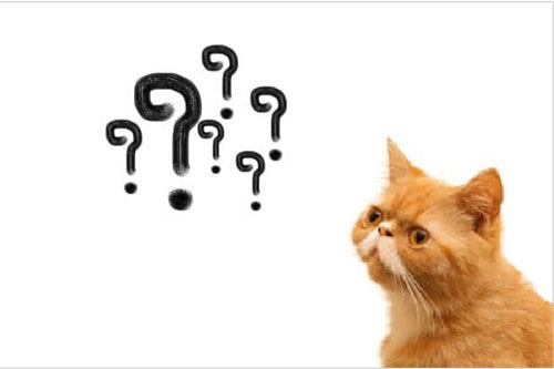 Những câu đố mẹo khiến bạn 'vắt não' để giải