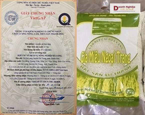 Thanh Hóa: 17 sản phẩm được công nhận sản phẩm OCOP năm 2020