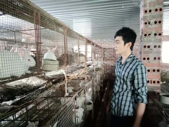 Hưng Yên Nông dân làm giàu từ mô hình nuôi thỏ  Ảnh thời sự trong nước   Kinh tế  Thông tấn xã Việt Nam TTXVN