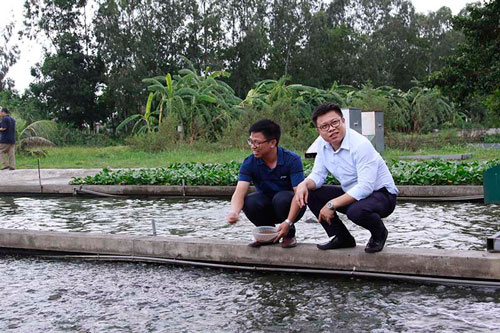 Hải Dương: Anh em cùng đào con sông 'chảy ra vàng', dựng cơ nghiệp 300 tỷ đồng