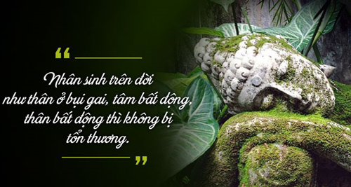 Phật dạy: Con người nếu không hiểu rõ "chữ này" đồng nghĩa tự đẩy mình xuống vực sâu đau khổ