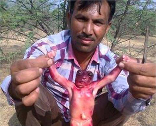 Phát hiện sinh vật kỳ quái giống người trong lòng đất