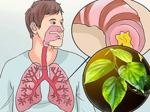 Điều trị hen suyễn bằng lá trầu hiệu quả và an toàn