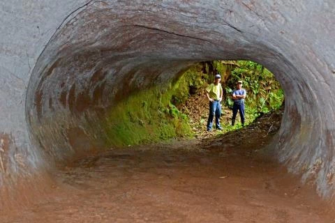 Những đường hầm khổng lồ được phát hiện ở phía Bắc Nam Mỹ