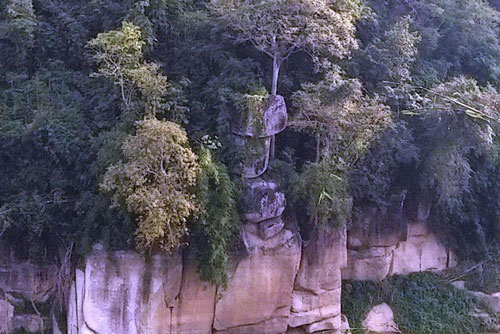 Giải lời nguyền từ tảng đá... 'bướu cổ'