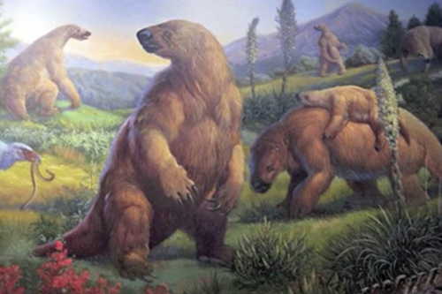 Loài quái vật nghìn năm vẫn sống trong rừng rậm Amazon?