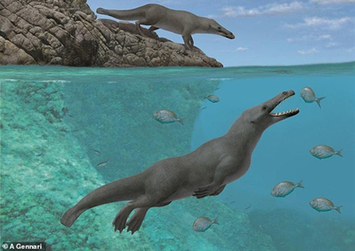 Phát hiện loài cá voi có bốn chân cực kỳ lạ