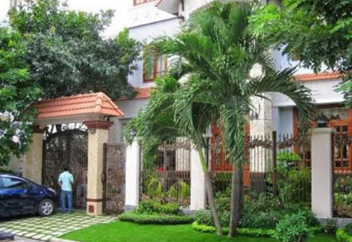 Rước đầy tài lộc vào nhà, gia đình luôn hạnh phúc nếu trồng cây này