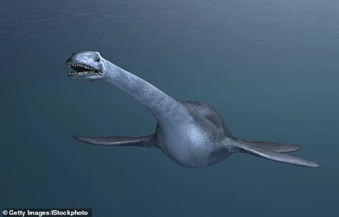 Cận cảnh họ hàng rất giống quái vật hồ Loch Ness mới được tìm thấy