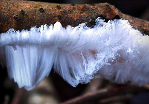 Những bức ảnh thú vị tiết lộ sự thật ít biết về các sự vật, hiện tượng