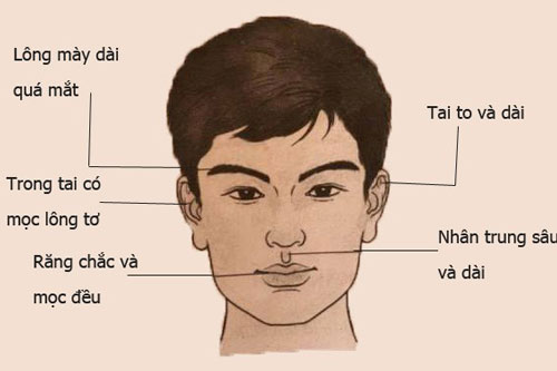 Tướng mặt của người đàn ông được thần Tài "chống lưng", phú quý ngập nhà, báo hiệu một đời may mắn