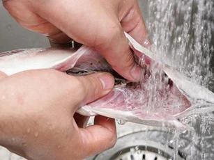 Cá nếu không làm sạch 3 bộ phận sau sẽ thành "độc dược", mở đường cho vi khuẩn tấn công cơ thể