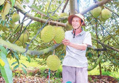 Sản phẩm cạnh tranh cao từ sản xuất sạch