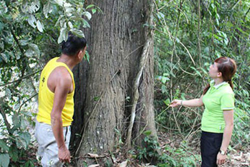 Chuyện rừng Ma bản Lói