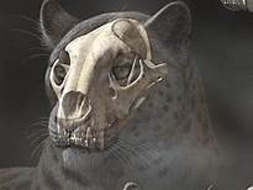 Phát hiện hóa thạch sư tử khổng lồ