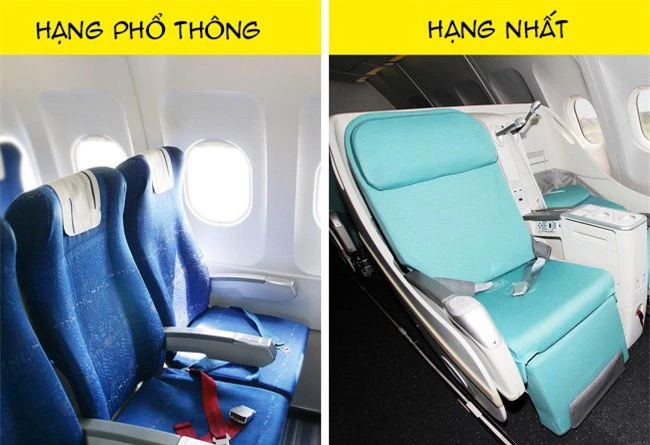 Tại sao ghế máy bay thường có màu xanh, lời giải thích có thể khiến bạn bất ngờ - Ảnh 1.