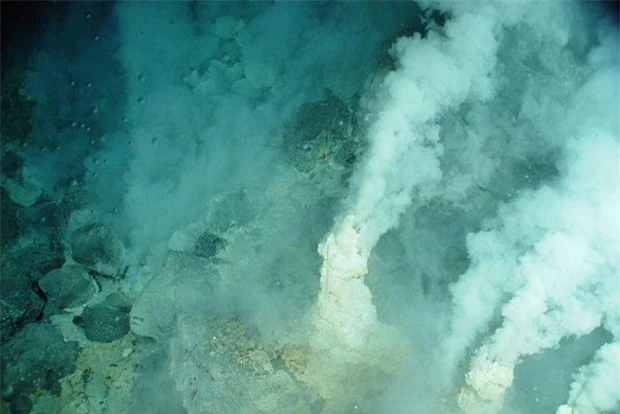 Vén bức màn bí ẩn về các dãy núi lửa ngầm dưới đáy Biển San Hô - 1