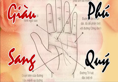 Nhìn đường chỉ tay vài giây đọc ngay số mệnh cuộc đời: Ai công danh vượng phát, ai nghèo khó cả đời?
