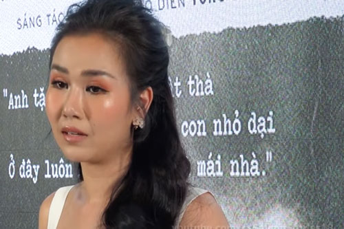 Võ Hạ Trâm: "Nói tôi ích kỷ với chồng vì không sinh con là không đúng"