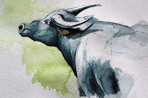 4 con giáp nữ có sự nghiệp vượng phát sau tuổi 40, càng về trung - hậu vận cuộc sống càng thăng hoa rực rỡ