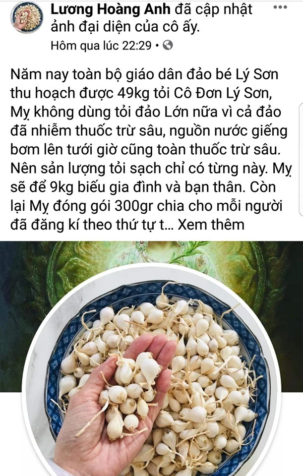 Bài đăng trên Facebook khiến bà Lương Hoàng Anh bị phạt 12,5 triệu đồng.